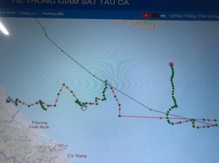 Tàu cá Quảng Trị di chuyển khác thường rồi mất tích trên vùng biển xa - Ảnh 1.