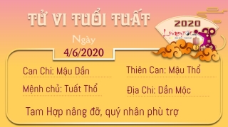 11 Tu vi 12 con giap - Tu vi ngay 462020 - Tuoi Tuat