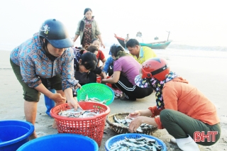 Hải sản đa dạng và được giá, ngư dân Nghi Xuân thêm vui