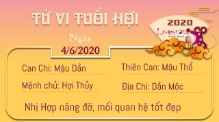 12 Tu vi 12 con giap - Tu vi ngay 462020 - Tuoi Hoi