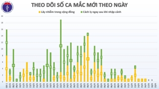 Ngày 19-4: Việt Nam có nhiều tin vui từ đại dịch COVID-19 - ảnh 1