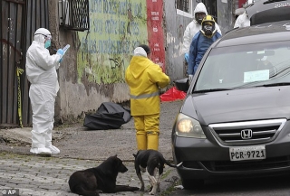 Hơn 1.600 người Ch?t vì Covid-19, thi thể nằm ngay trên đường phố Ecuador - 8