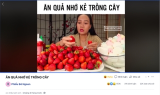YouTuber Vinh Nguyễn Thị và những màn review đồ ăn “đi vào huyền thoại”: Đúng là phong ba bão táp không bằng… ngữ pháp chị Vinh! - Ảnh 6.