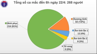 Cập nhật sáng 22/4: Số ca bình phục sau mắc Covid-19 của Việt Nam hôm nay vượt mốc 81% - Ảnh 1.