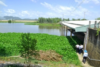 Đồng bằng sông Cửu Long: Ứng phó với ngập lũ nội đồng