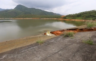 Về vụ vỡ đập Đầm Thìn (Phú Thọ): Vẫn đảm bảo đủ nước tưới
