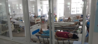 Đà Nẵng: 222 ca nghi ngộ độc thực phẩm phải nhập viện