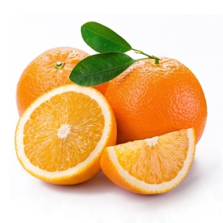 Giống cây cam vàng mỹ - Dụng cụ LÀM VƯỜN