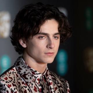 Timothée Chalamet tự stylist cho vai diễn chàng thơ trong Little Women ảnh 4