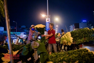 Tin nhanh - Hà Nội: Chợ hoa đầu mối nhộn nhịp trở lại (Hình 3).