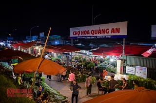 Tin nhanh - Hà Nội: Chợ hoa đầu mối nhộn nhịp trở lại
