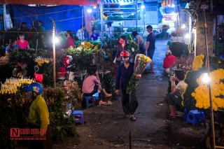 Tin nhanh - Hà Nội: Chợ hoa đầu mối nhộn nhịp trở lại (Hình 14).