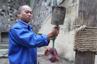 Nuôi mãnh thú giữa lòng Hà Nội: Mắc màn ngủ cùng hổ, ngày ngày trò chuyện bắt rận cho sư tử ảnh 12