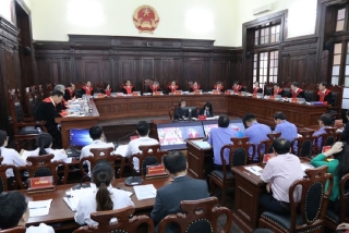 Hội đồng thẩm phán biểu quyết bác kháng nghị vụ Hồ Duy Hải - ảnh 1