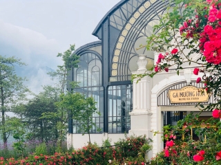 Việt Nam vừa có một thung lũng hoa hồng rộng 50.000 m2 được trao kỷ lục quốc gia, lại có thêm nơi để check-in hè này rồi! - Ảnh 9.