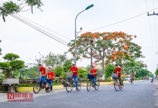 Tin nhanh - “Hoa học trò” nở rộ, đỏ rực phủ Thiên Trường (Hình 2).