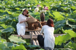 Thiếu nữ xinh đẹp tạo dáng bên hồ sen với tà áo dài.