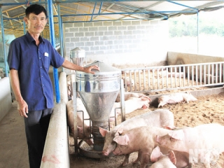 Khởi nghiệp với hai bàn tay trắng, cựu chiến binh vượt khó, thu nhập tiền tỷ mỗi năm - Ảnh 1