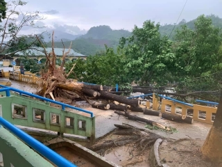 Quảng Nam: Cảnh tượng kinh hoàng sau trận lốc xoáy tại Nam Trà My