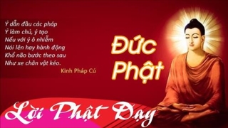 Loi Phat day ve dao lam nguoi