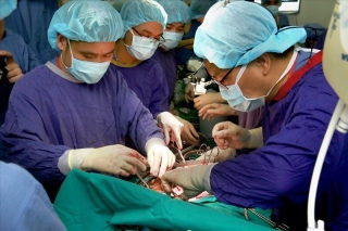 Việt Nam đủ năng lực ghép phổi cho bệnh nhân 91 mắc COVID-19? - ảnh 2