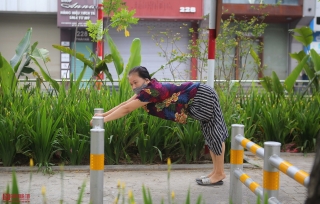 Môi trường - Người dân thích thú với phố đi bộ mới xanh mát tại Hà Nội giữa những ngày oi bức (Hình 12).