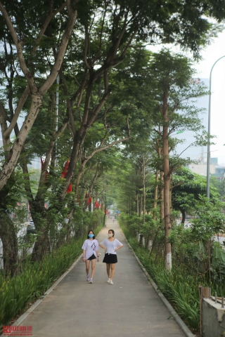 Môi trường - Người dân thích thú với phố đi bộ mới xanh mát tại Hà Nội giữa những ngày oi bức (Hình 3).