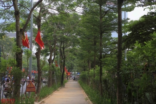 Môi trường - Người dân thích thú với phố đi bộ mới xanh mát tại Hà Nội giữa những ngày oi bức (Hình 2).