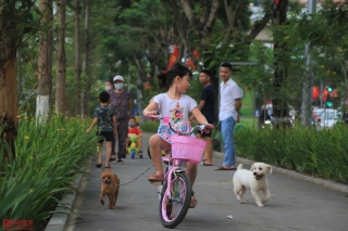 Môi trường - Người dân thích thú với phố đi bộ mới xanh mát tại Hà Nội giữa những ngày oi bức (Hình 11).