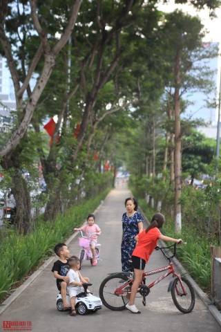 Môi trường - Người dân thích thú với phố đi bộ mới xanh mát tại Hà Nội giữa những ngày oi bức (Hình 9).