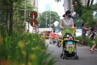 Môi trường - Người dân thích thú với phố đi bộ mới xanh mát tại Hà Nội giữa những ngày oi bức (Hình 8).