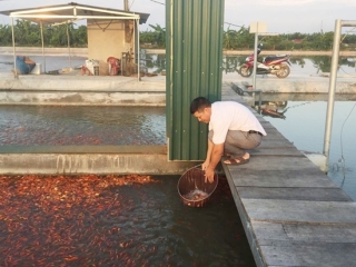 Nông dân kiếm chục tỷ mỗi năm nhờ 