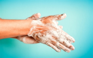 Không rửa tay thường xuyên, không chỉ có thể dính virus corona, bàn tay có thể chứa hơn 400 nghìn loại virus, vi khuẩn - Ảnh 2.