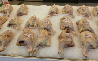 Thịt gà công nghiệp giá rẻ như rau - Ảnh 1.