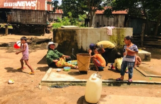 Hạn kinh hoàng, người Gia Lai mót từng giọt nước đục ngầu từ hố trũng về ăn - Ảnh 7.