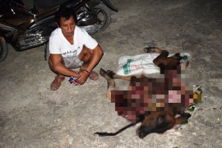 Quảng Bình: Túng tiền, thanh niên sang nhà hàng xóm bắt trộm bò xẻ thịt đem bán - Ảnh 1.