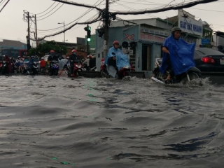 Cây đổ, đường phố Sài Gòn mênh mông nước sau trận mưa cực lớn - Ảnh 1.