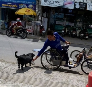 “Rụng tim” với chú chó xoáy Phú Quốc thay chủ tật nguyền xếp hàng nhận gạo - Ảnh 4.