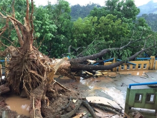 Quảng Nam: Mưa dông kèm lốc xoáy khiến nhiều nhà dân bị tốc mái - Ảnh 6.