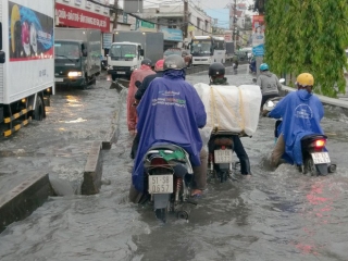 Cây đổ, đường phố Sài Gòn mênh mông nước sau trận mưa cực lớn - Ảnh 5.