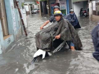 Cây đổ, đường phố Sài Gòn mênh mông nước sau trận mưa cực lớn - Ảnh 6.