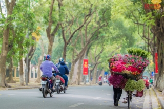 Tin nhanh - Hoa sen đầu mùa rong ruổi khắp phố phường Hà Nội (Hình 3).