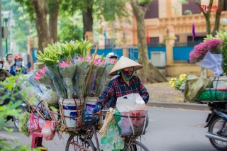 Tin nhanh - Hoa sen đầu mùa rong ruổi khắp phố phường Hà Nội (Hình 2).
