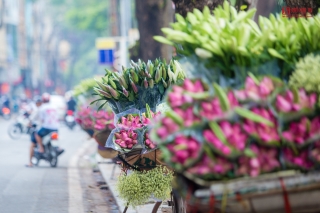 Tin nhanh - Hoa sen đầu mùa rong ruổi khắp phố phường Hà Nội (Hình 4).