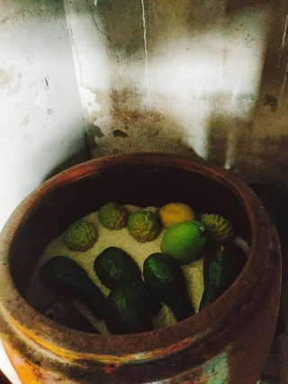 Một mẹo “phù phép” trái cây bằng thùng gạo từ xưa đến nay vẫn được áp dụng: nhiều người sẽ thấy bồi hồi khi nhìn vào bức ảnh này - Ảnh 1.