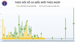 Thêm 1 ca mắc Covid-19 “nhập khẩu”, cả nước có 313 bệnh nhân