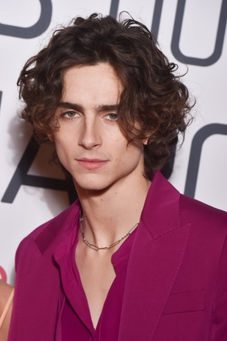 Timothée Chalamet tự stylist cho vai diễn chàng thơ trong Little Women ảnh 7