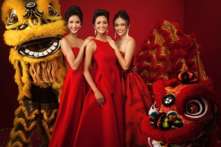 Top 3 Hoa hậu Hoàn vũ Việt Nam 2017 trong bộ ảnh chúc Tết 2018.