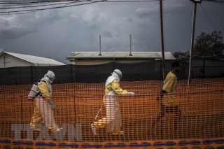 CHDC Congo: Benh nhan Ebola tron vien gay nguy co bung phat dich hinh anh 1