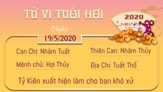 Tu vi 12 con giap - Tu vi ngay 19052020 - Tuoi Hoi